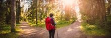 woman with red backpack standing at a forked path in the woods